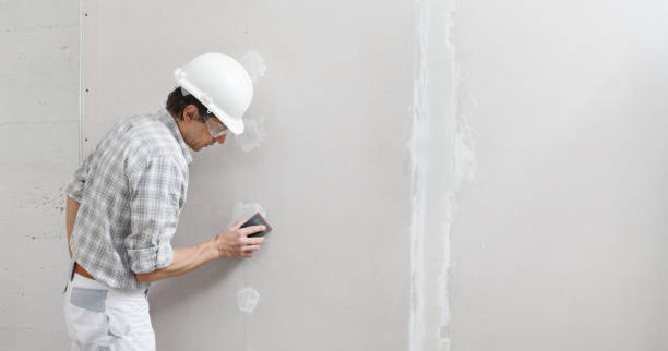 Best Mold Remediation for Rental Properties  in Blacklick Estates, OH