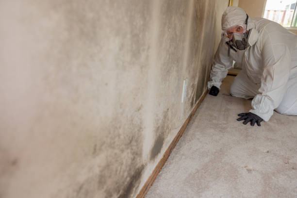 Best Residential Mold Inspection & Testing  in Blacklick Estates, OH